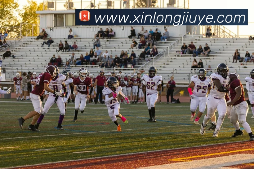 华体育app官网登录入口平台生态图